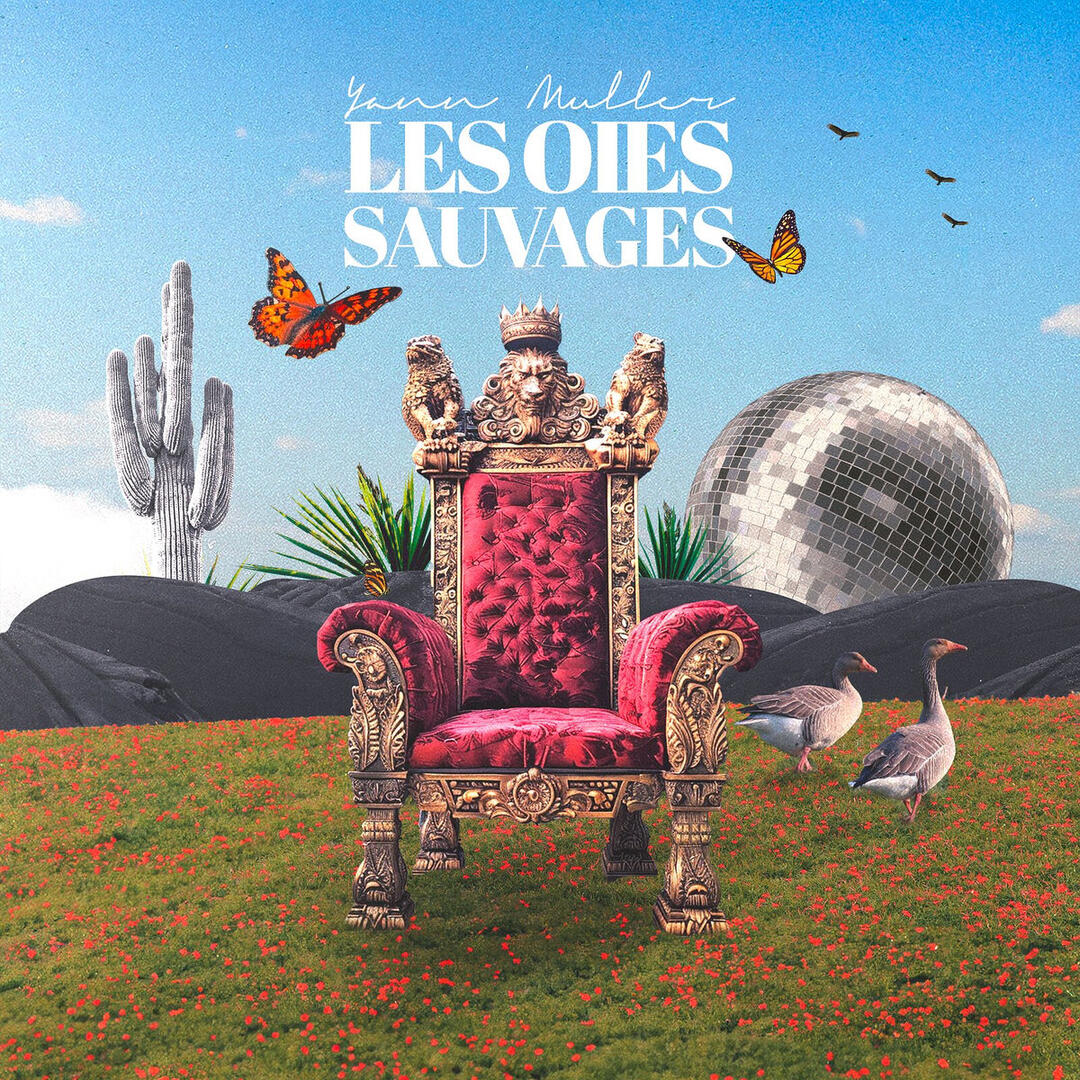 Yann Muller — Les Oies sauvages